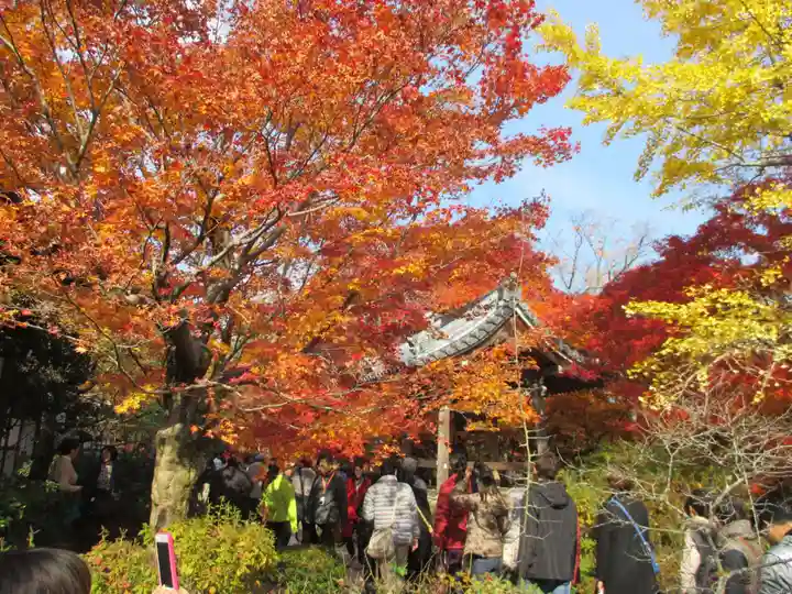 常寂光寺(京都府)