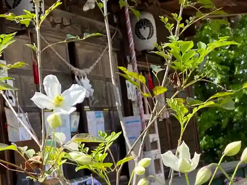 岡部春日神社～👹鬼門よけの🌺花咲く🌺やしろ～の庭園