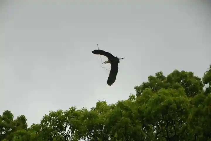 上領八幡宮(山口県)