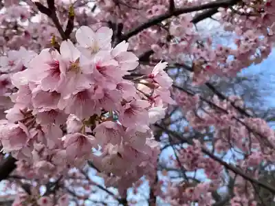 氷川女體神社(埼玉県)