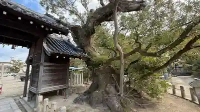 國瑞彦護国神社(兵庫県)