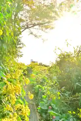白山媛神社(新潟県)