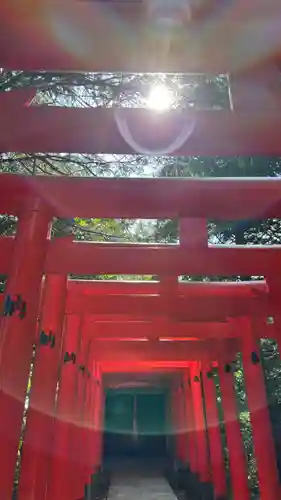 大麻比古神社(徳島県)