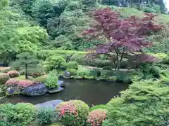 三室戸寺の庭園