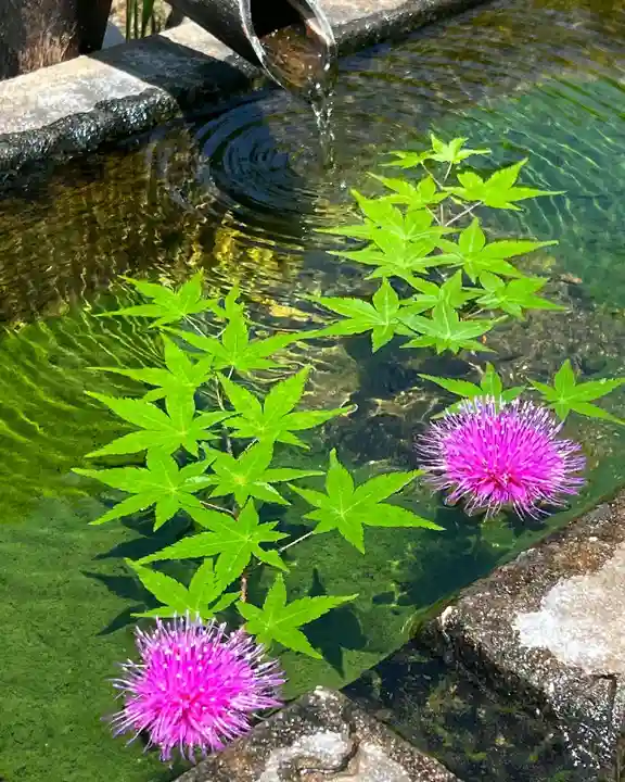 国宝 大法寺の手水舎