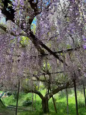 天台宗 五大山 白毫寺(兵庫県)