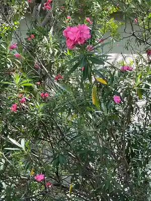 安井金比羅宮(京都府)