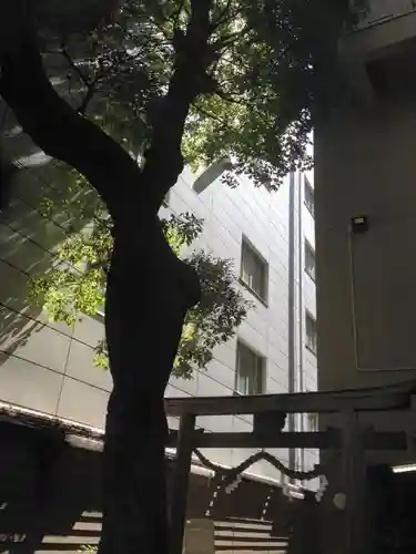 少彦名神社の自然