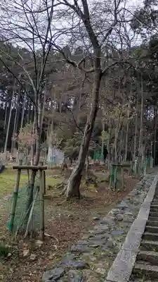 長尾天満宮(京都府)