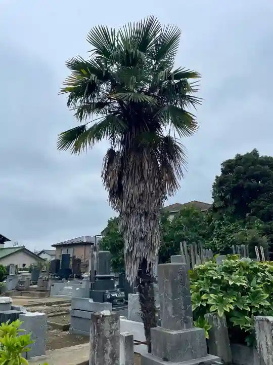 鎌ケ谷大仏(千葉県)