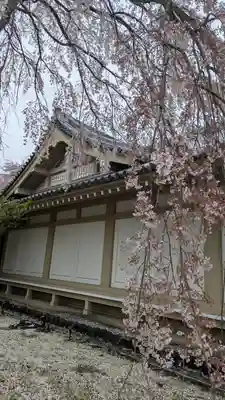 醍醐寺(京都府)