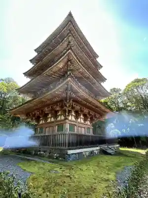 醍醐寺の{uncategorized: "未分類", other: "その他", undefined: "問題あり", building: "その他建物", grave: "お墓", sacred_gate: "鳥居", guardian: "狛犬", statue: "像", buddha: "仏像", history: "歴史", nature: "自然", garden: "庭園", animal: "動物", pagoda: "塔", temizu: "手水舎", mountain_gate: "山門・神門", sanctuary: "本殿・本堂", subordinate: "末社・摂社", art: "芸術", scenery: "景色", jizo: "地蔵", ema: "絵馬", goshuin: "御朱印", omikuji: "おみくじ", items: "授与品その他", amulet: "お守り", goshuincho: "御朱印帳", eats: "食事", festival: "お祭り", votive_dance: "神楽", shichigosan: "七五三参", wedding: "結婚式", experience: "体験その他", initially: "初詣", around: "周辺", anti_infection: "感染症対策"}
