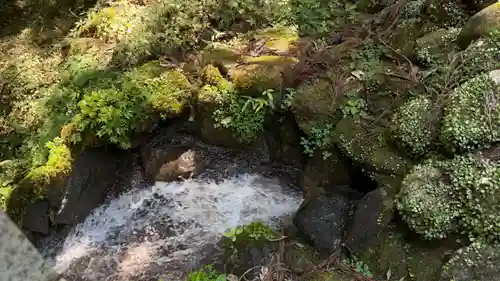 最乗寺（道了尊）(神奈川県)