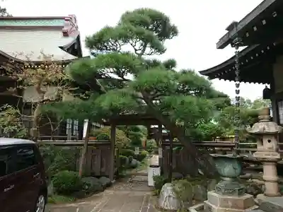 法源寺のその他建物