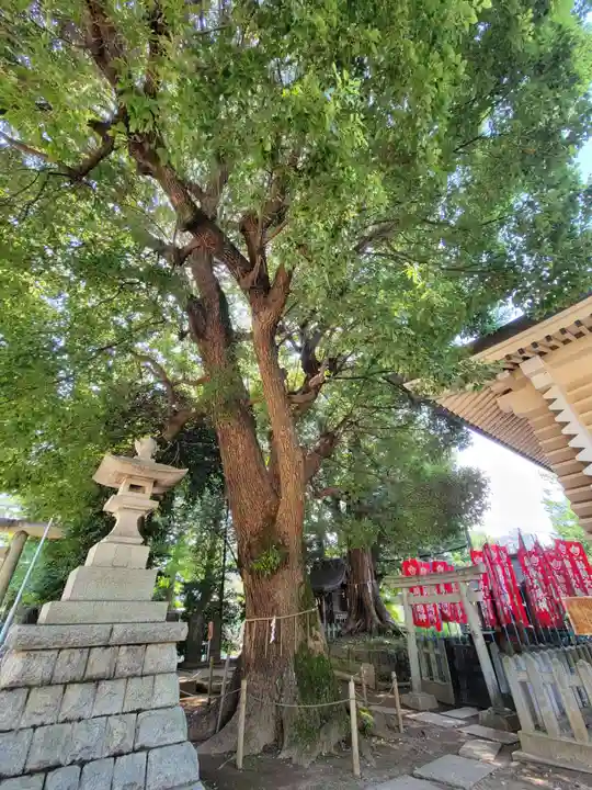 諏訪神社のその他建物