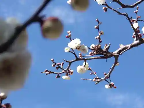 町田天満宮(東京都)