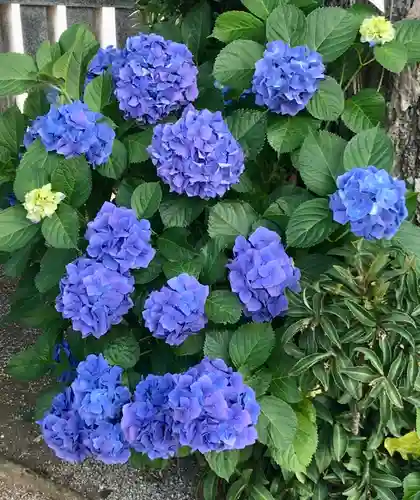 高靇神社の自然