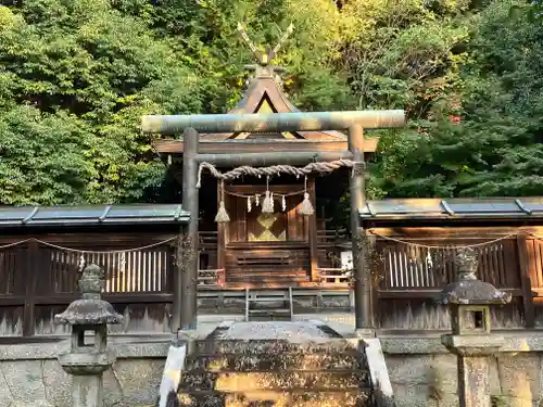 伊射奈岐神社の本殿