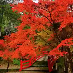 大洞院の自然