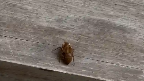 須岐神社(宮城県)