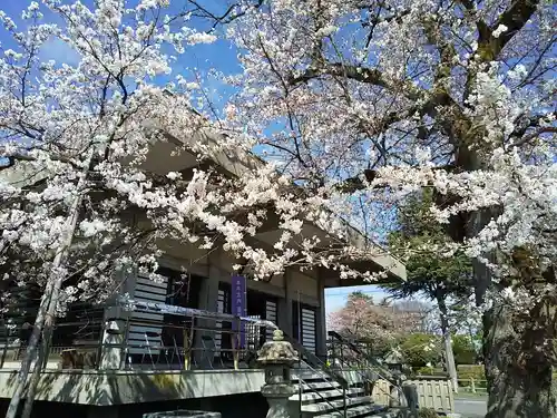 妙経寺の本殿