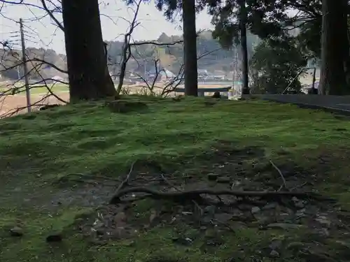 桑名神社の自然