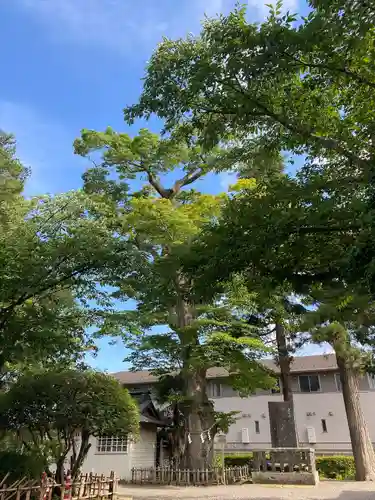竹駒神社(宮城県)