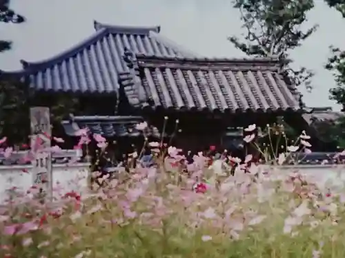 弘福寺（川原寺跡）のその他建物