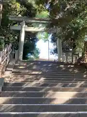 渋谷氷川神社の鳥居