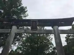 闘鶏神社の鳥居