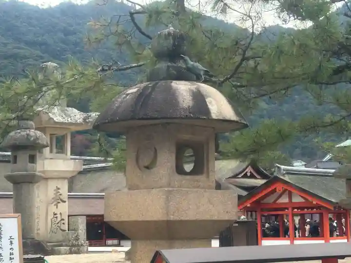 厳島神社(広島県)