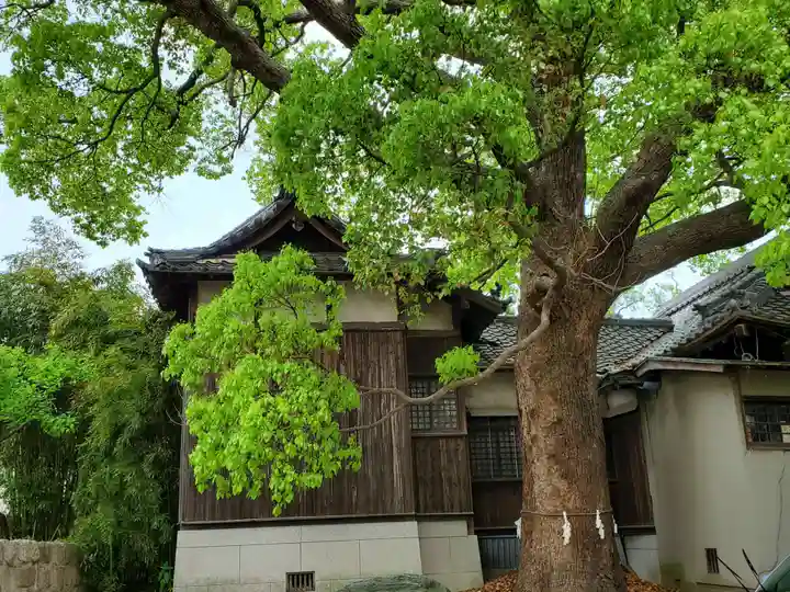 難波熊野神社の本殿・本堂