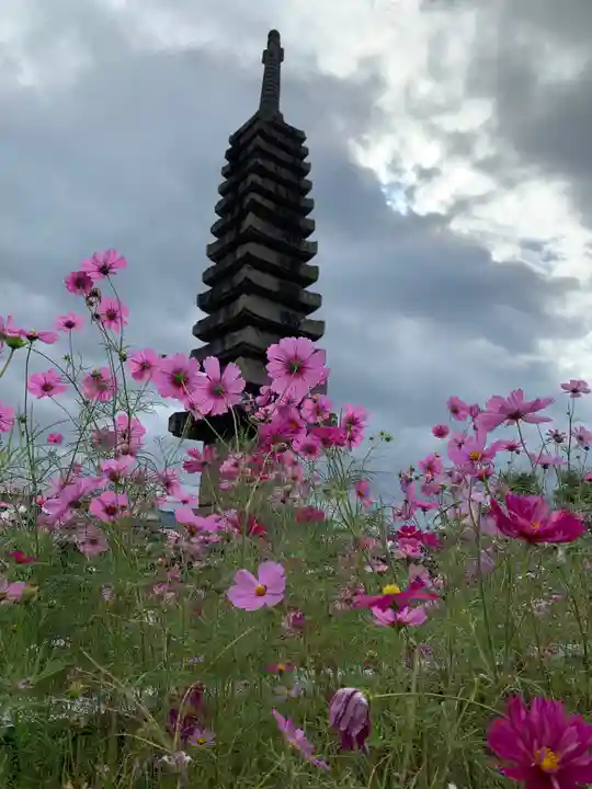 般若寺 ❁コスモス寺❁の像