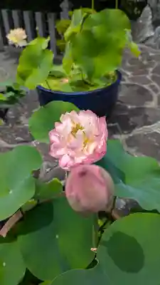 正法寺(京都府)