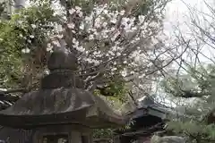 若宮神社の建物その他