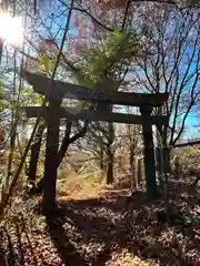 菱野健功神社(長野県)