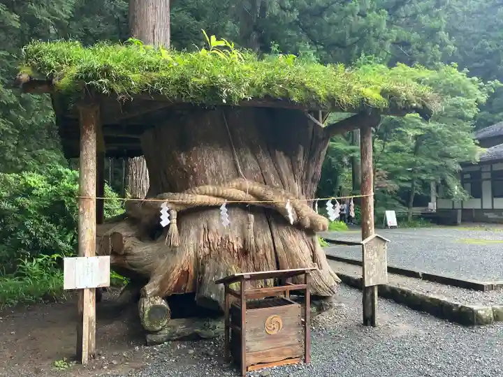 小國神社(静岡県)