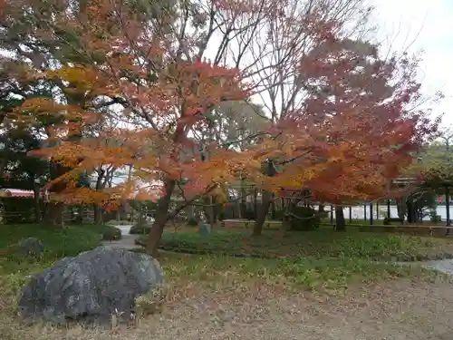 平等院の自然