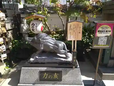 摩利支天 徳大寺の狛犬
