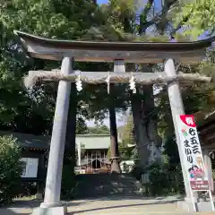 比々多神社(神奈川県)