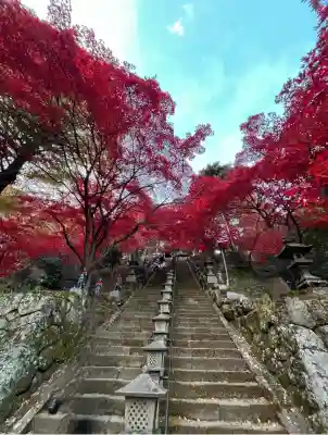 大山寺(神奈川県)