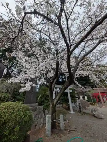 亀ケ池八幡宮(神奈川県)