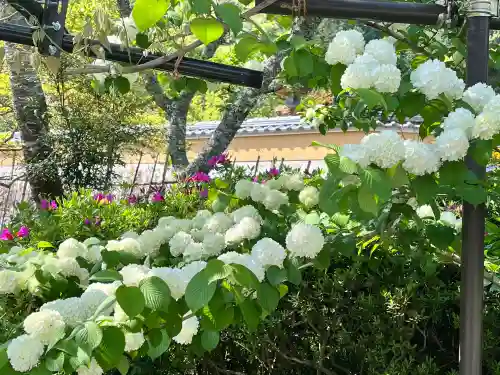 天台宗 五大山 白毫寺(兵庫県)