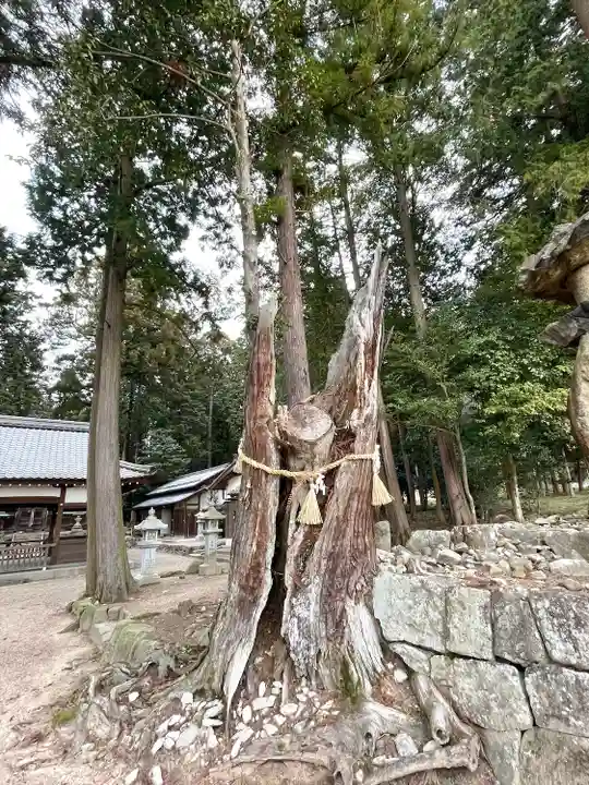 坂本神社(滋賀県)