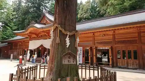 穂高神社本宮の本殿