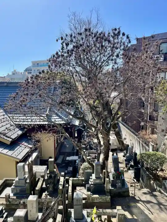 還国寺の{uncategorized: "未分類", other: "その他", undefined: "問題あり", building: "その他建物", grave: "お墓", sacred_gate: "鳥居", guardian: "狛犬", statue: "像", buddha: "仏像", history: "歴史", nature: "自然", garden: "庭園", animal: "動物", pagoda: "塔", temizu: "手水舎", mountain_gate: "山門・神門", sanctuary: "本殿・本堂", subordinate: "末社・摂社", art: "芸術", scenery: "景色", jizo: "地蔵", ema: "絵馬", goshuin: "御朱印", omikuji: "おみくじ", items: "授与品その他", amulet: "お守り", goshuincho: "御朱印帳", eats: "食事", festival: "お祭り", votive_dance: "神楽", shichigosan: "七五三参", wedding: "結婚式", experience: "体験その他", initially: "初詣", around: "周辺", anti_infection: "感染症対策"}