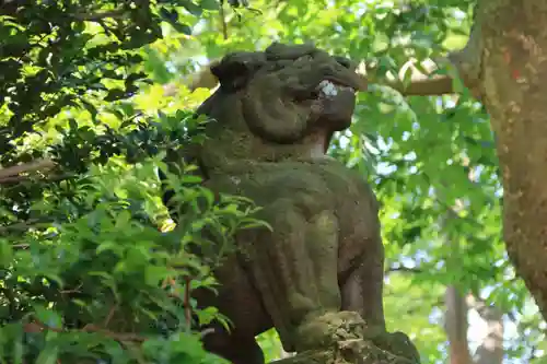 愛宕神社の狛犬