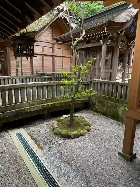 諏訪大社(長野県)