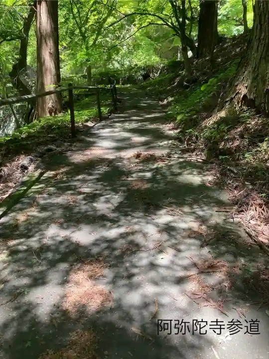 阿弥陀寺(長野県)