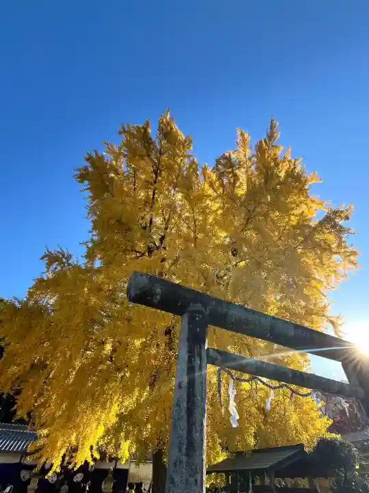 丹生酒殿神社(和歌山県)